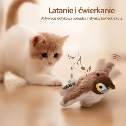 SwiftCat – Interaktywny Ptaszek