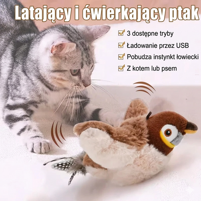 SwiftCat – Interaktywny Ptaszek
