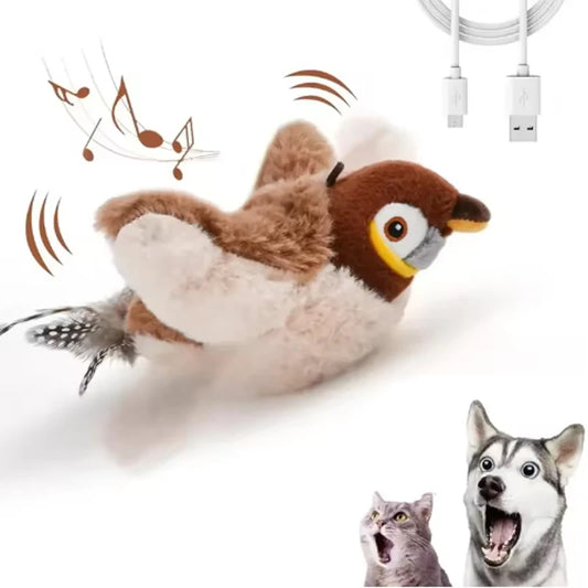 SwiftCat – Interaktywny Ptaszek